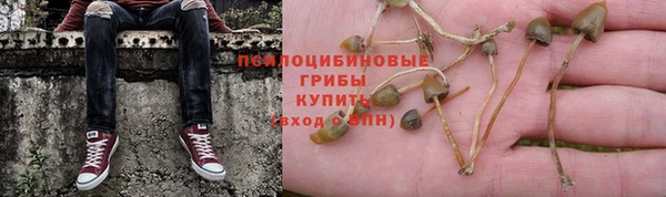 трава Алзамай