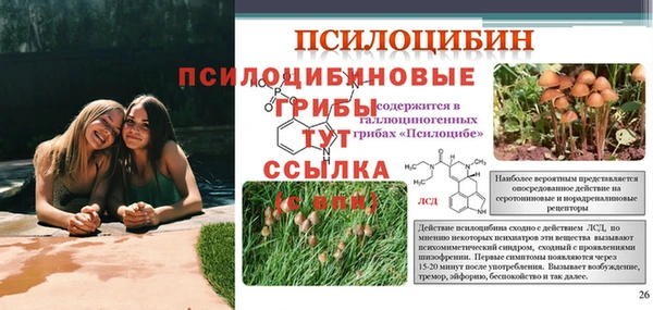 трава Алзамай