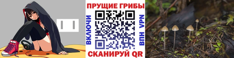Галлюциногенные грибы GOLDEN TEACHER  hydra ссылка  Нижний Ломов 